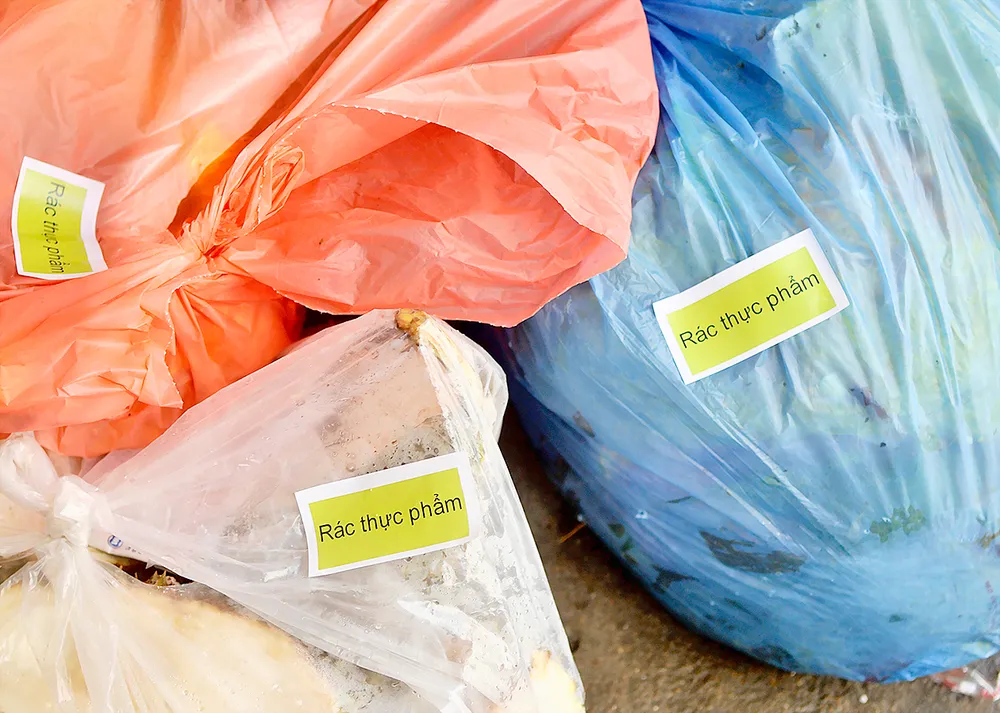 Đồng thuận thực hiện phân loại rác tại nguồn ảnh 5