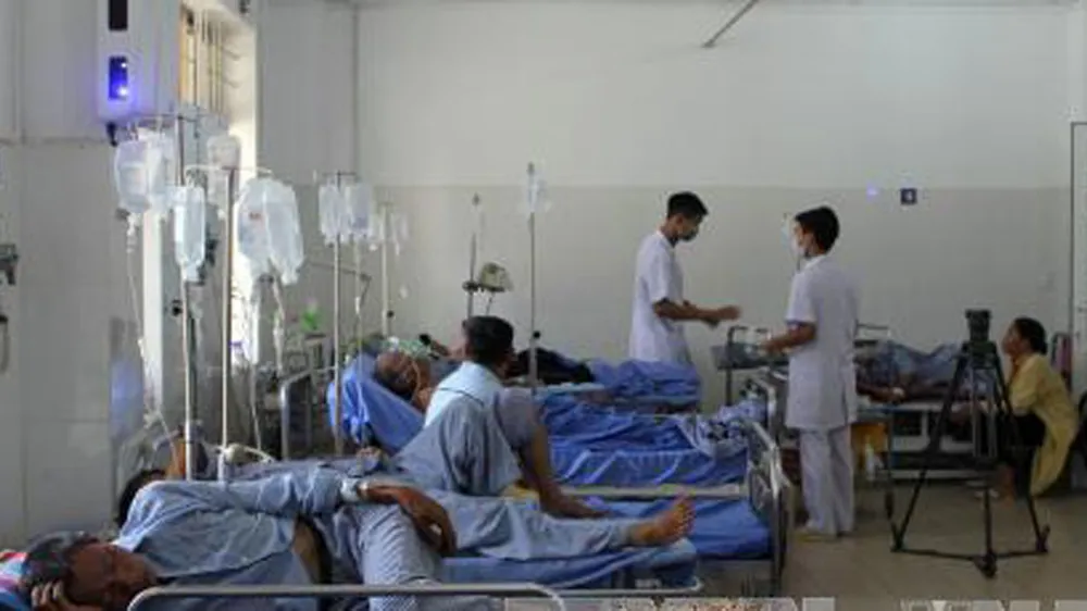 Ăn nấm trong vườn nhà, 13 người bị ngộ độc ảnh 1