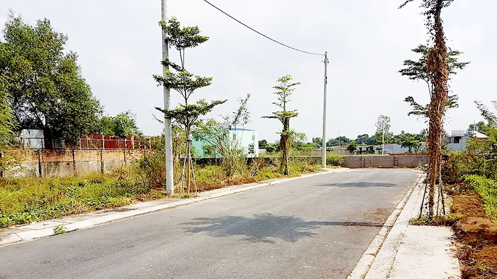 Phát hiện nhiều tổ chức đảng và đảng viên vi phạm ảnh 2