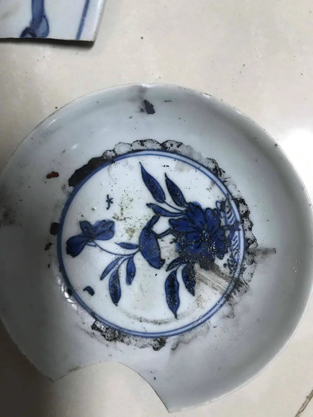 Khai quật khẩn cấp tàu cổ đắm tại vùng biển Dung Quất ảnh 2