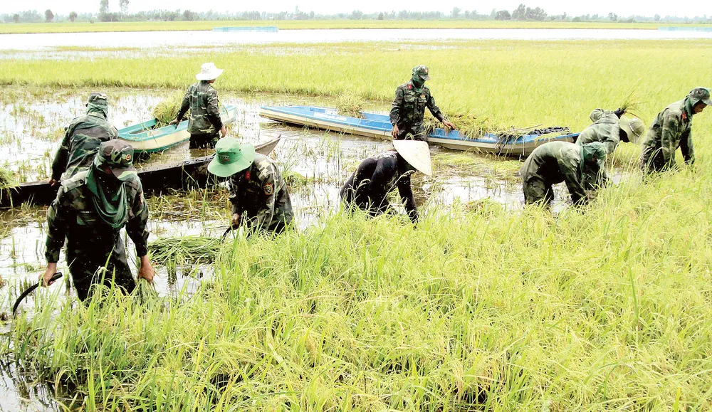 Mưu sinh mùa lũ ảnh 1