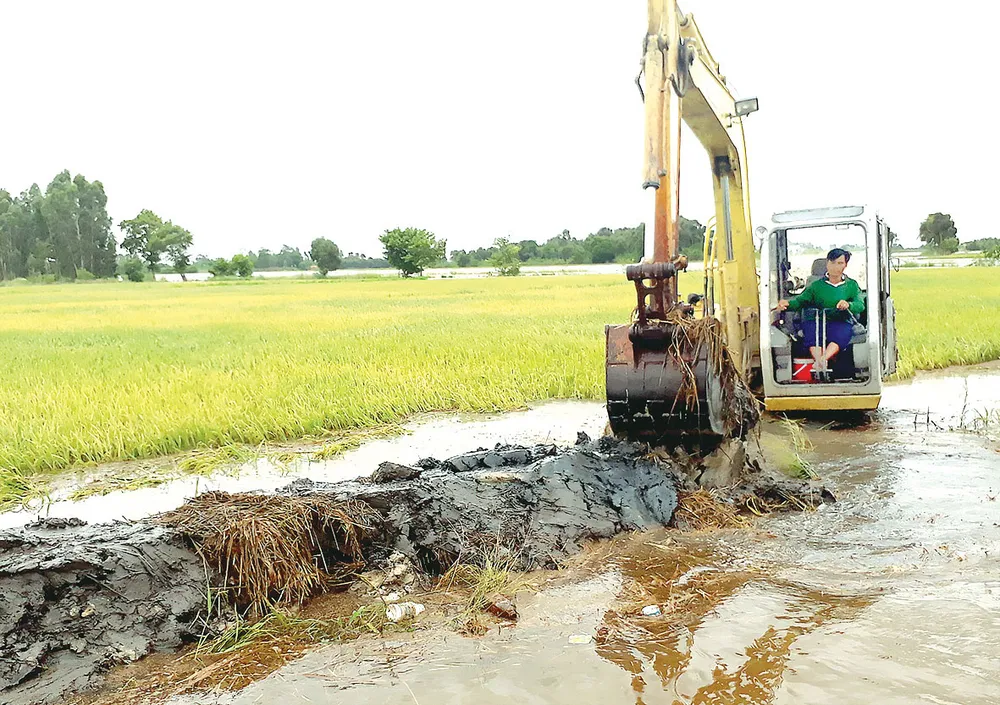 Mưu sinh mùa lũ ảnh 2