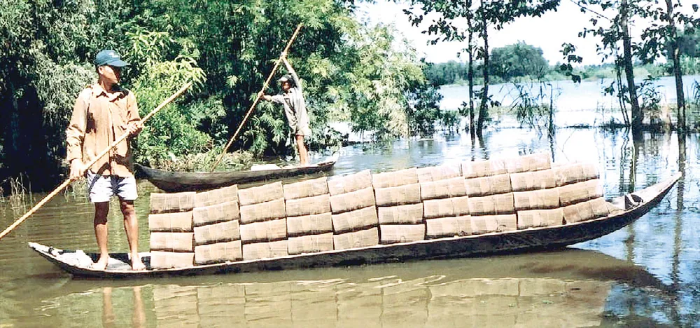 Mưu sinh mùa lũ ảnh 4