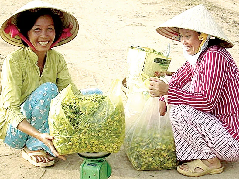 Mưu sinh mùa lũ ảnh 5