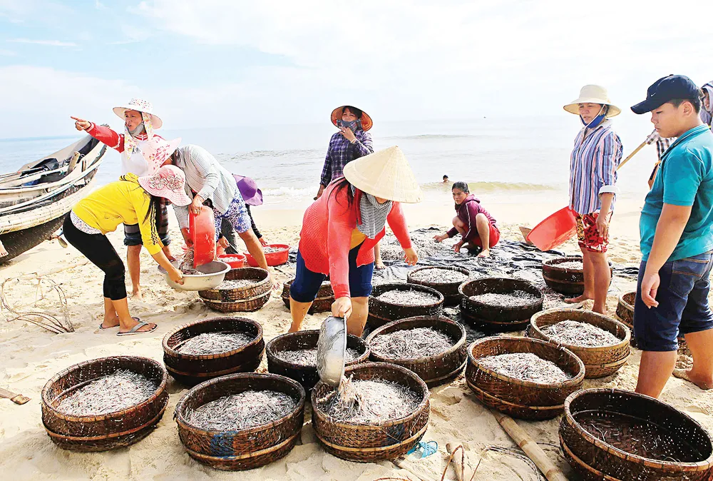 Lộc biển ảnh 1