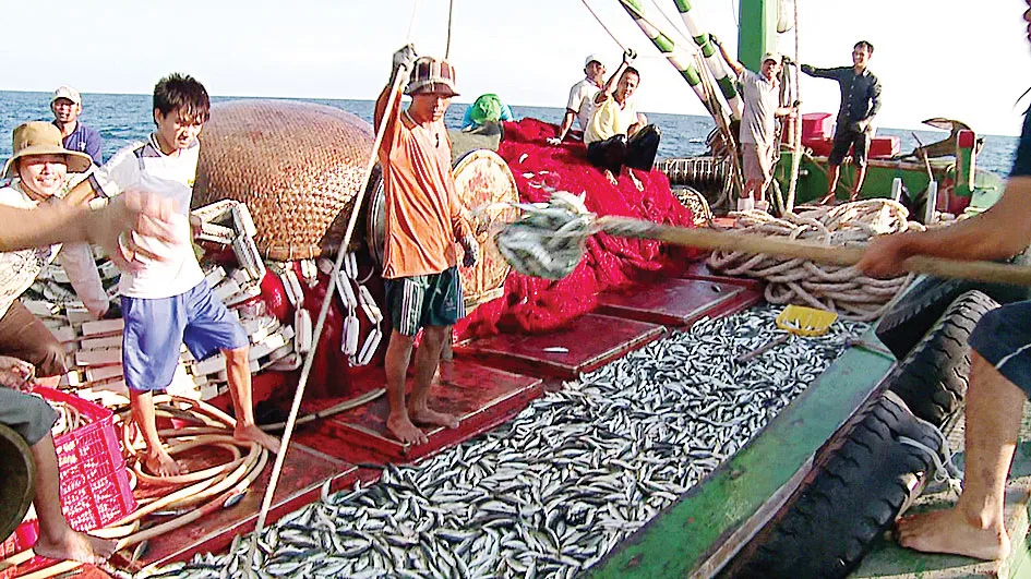 Lộc biển ảnh 2