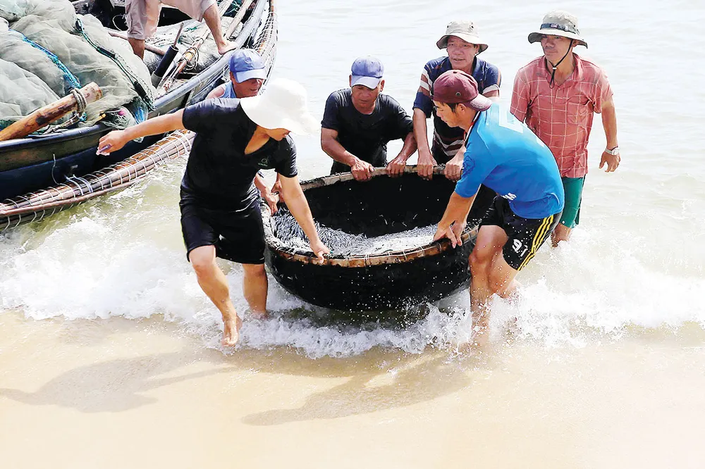 Lộc biển ảnh 3