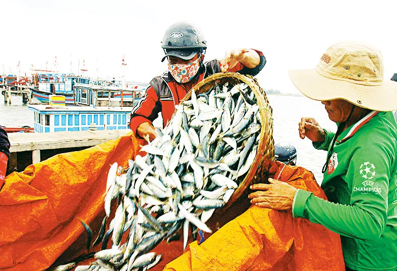 Lộc biển ảnh 4