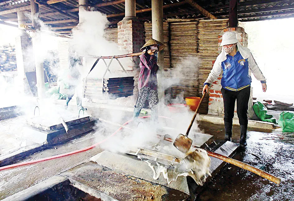 Lộc biển ảnh 5