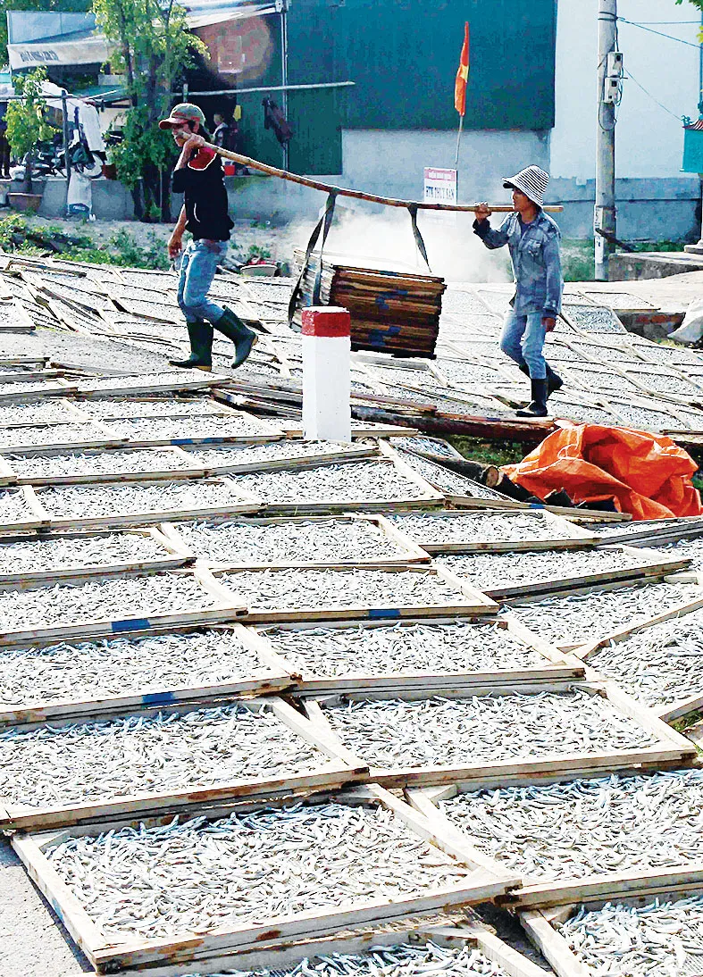 Lộc biển ảnh 6