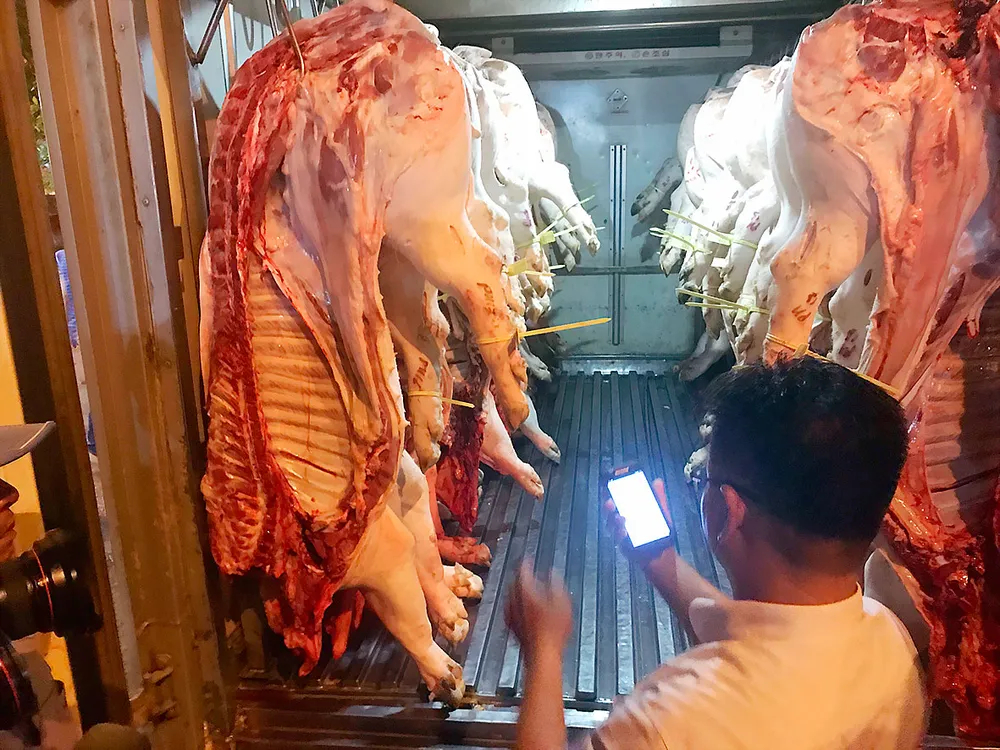 Ách tắc kết nối chuỗi liên kết ảnh 1