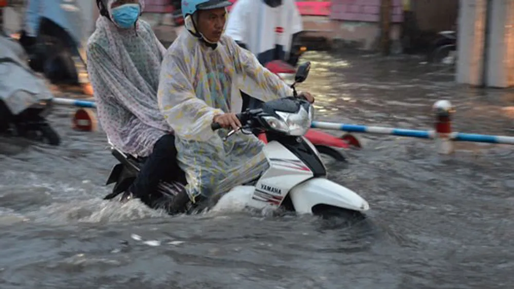 Giải pháp ứng phó thiên tai tại Việt Nam  ảnh 3