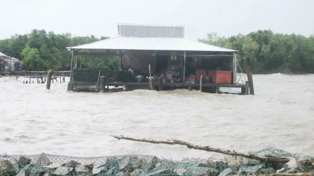 Giải pháp ứng phó thiên tai tại Việt Nam  ảnh 1