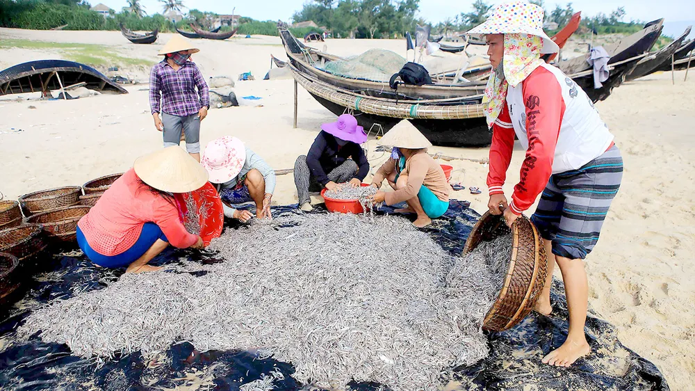  Bài 1: Khi đàn cá trở về ảnh 1