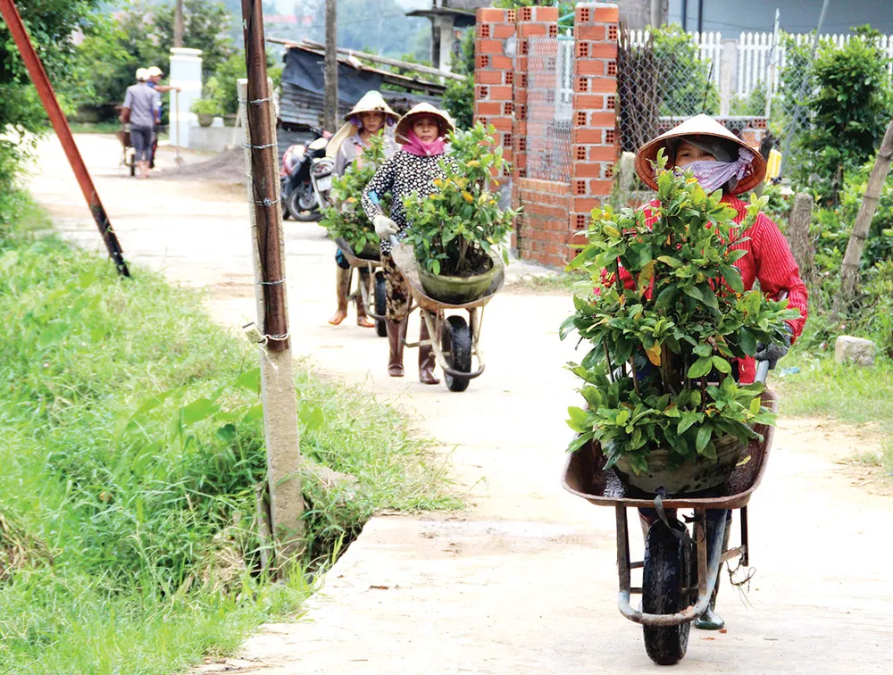Nông dân miền Trung chuẩn bị vào mùa sau lũ bão ảnh 1