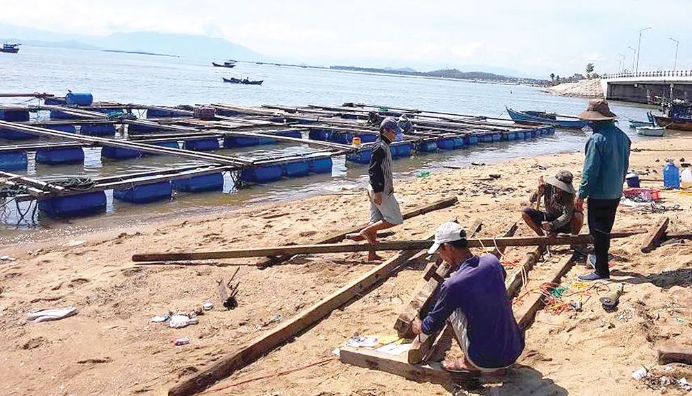 Nông dân miền Trung chuẩn bị vào mùa sau lũ bão ảnh 6