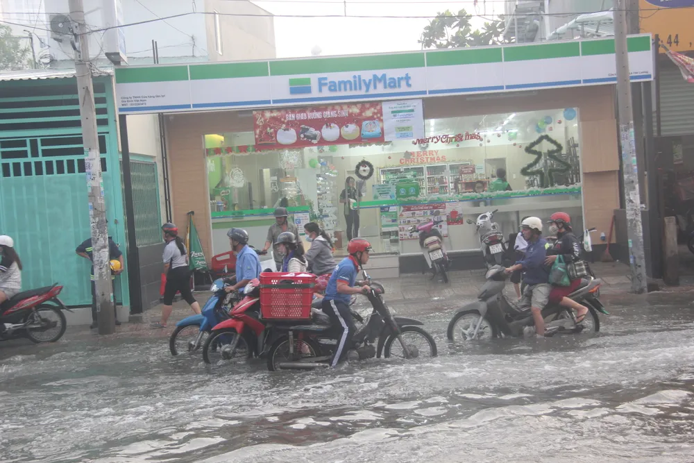 TPHCM: Người dân khổ sở vì triều cường vượt báo động 3  ảnh 13