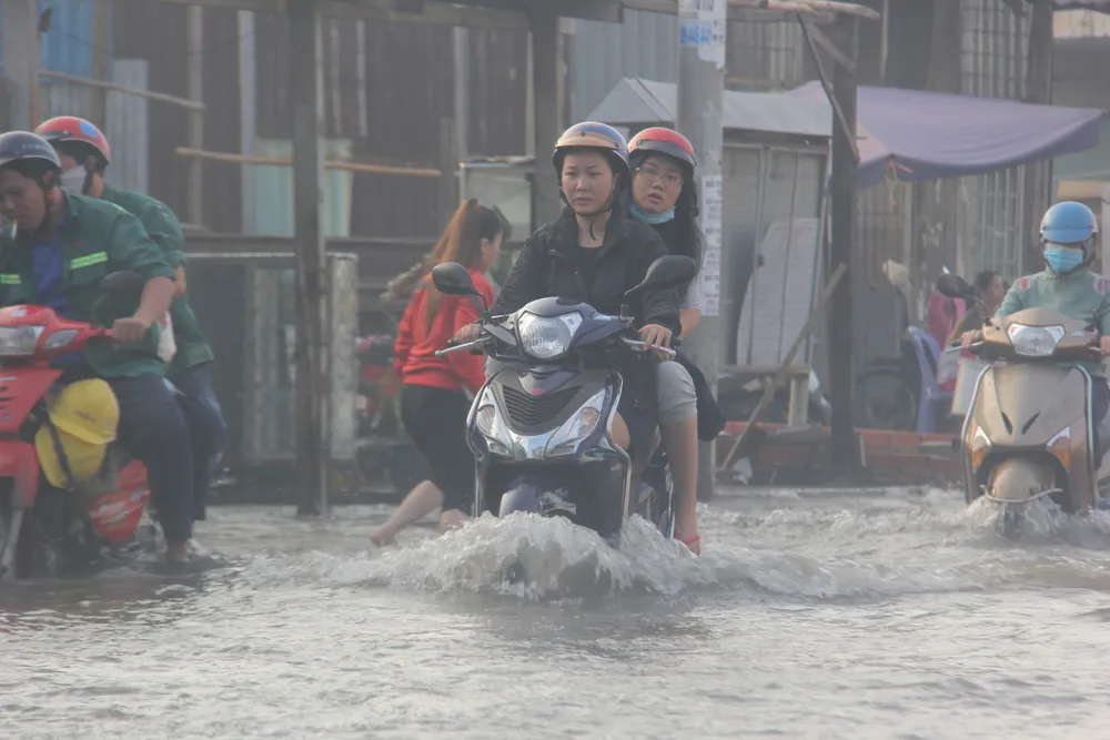 TPHCM: Người dân khổ sở vì triều cường vượt báo động 3  ảnh 5