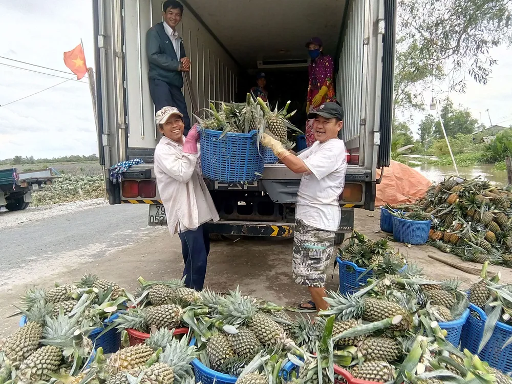 Xuất khẩu rau quả với mục tiêu 4,5 tỷ USD ảnh 1