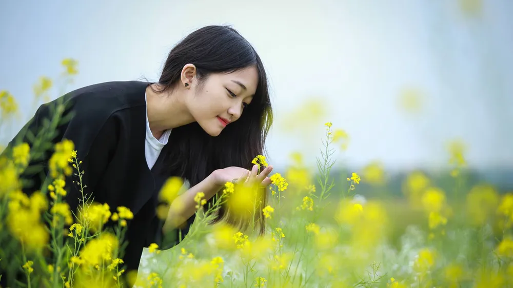 Ngắm hoa cải vàng rực rỡ trong nắng đông ảnh 11