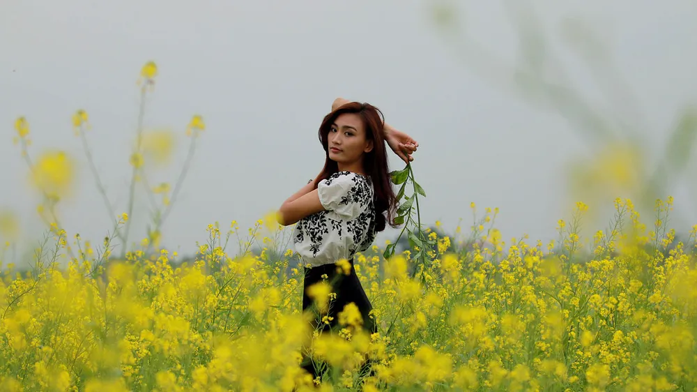 Ngắm hoa cải vàng rực rỡ trong nắng đông ảnh 9