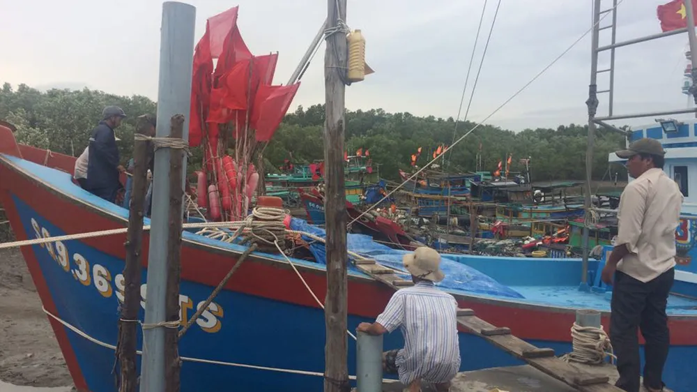 TPHCM đã chuẩn bị ứng phó bão số 16 (bão Tembin) ảnh 7