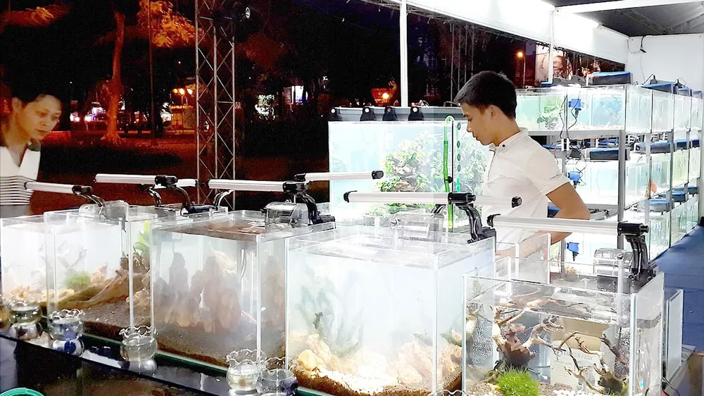 Gian hàng cá cảnh và sinh vật cảnh tại Hội chợ Nông nghiệp công nghệ cao  và công nghiệp thực phẩm lần 6 (Hi-Tech Agro  2017)