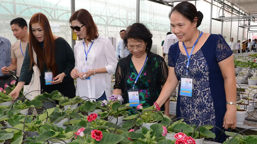 Kiều bào tham quan sản phẩm hoa tại Trung tâm Công nghệ sinh học TPHCM. Ảnh: VIỆT DŨNG