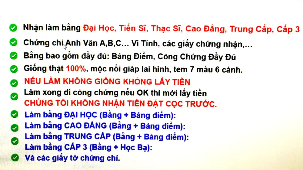 Dịch vụ làm bằng giả công khai hoạt động ảnh 2