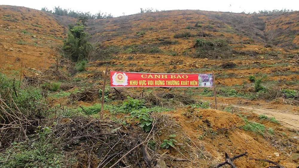 Tạo vùng sinh cảnh  cho voi rừng ảnh 2