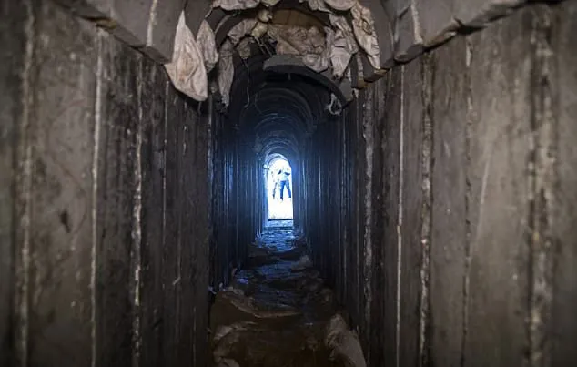 Israel công bố chi tiết bức tường ngầm dọc Dải Gaza ảnh 6