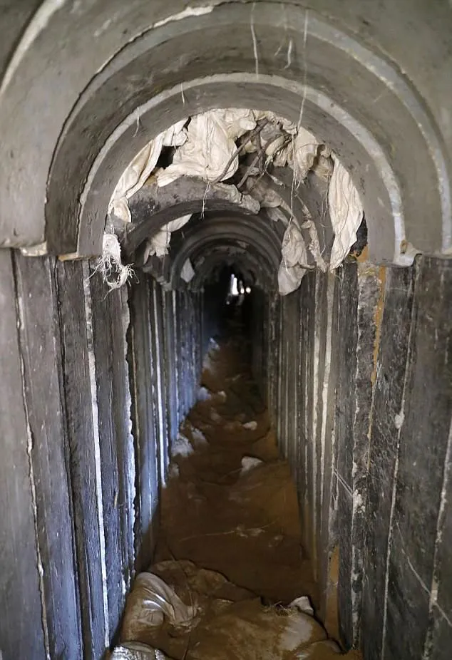 Israel công bố chi tiết bức tường ngầm dọc Dải Gaza ảnh 4