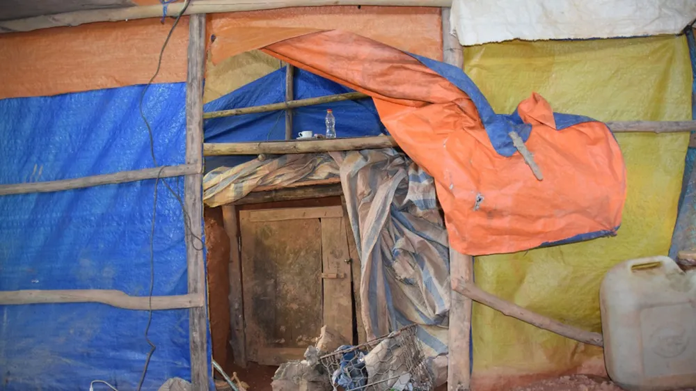 Kon Tum: Phát hiện hầm vàng “khủng” trong vườn chanh dây ảnh 1