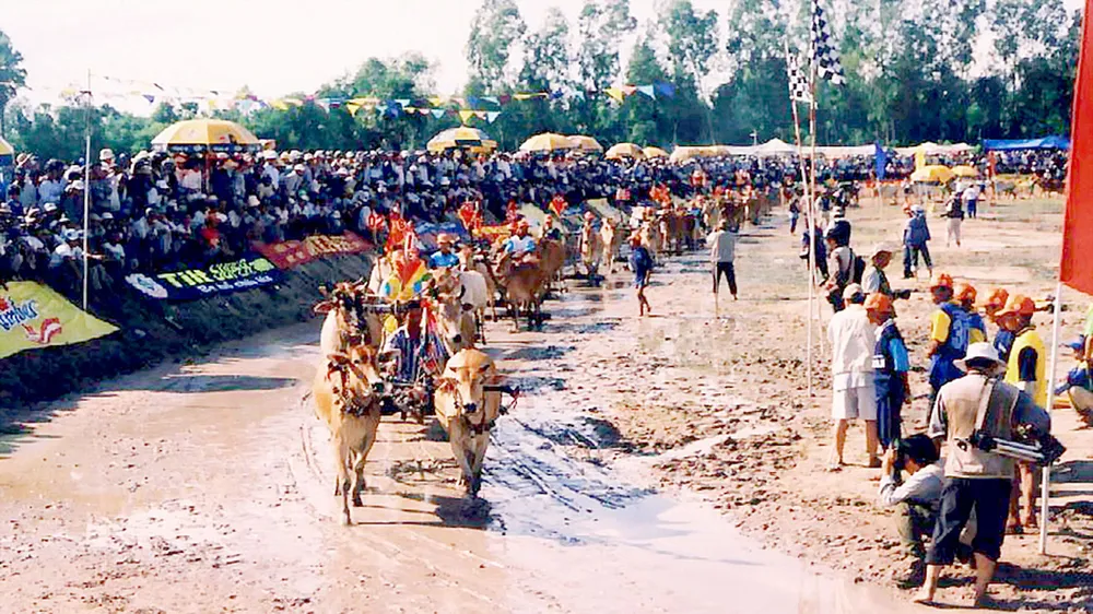 Đua bò  Bảy Núi,  nét đặc thù của du lịch An Giang