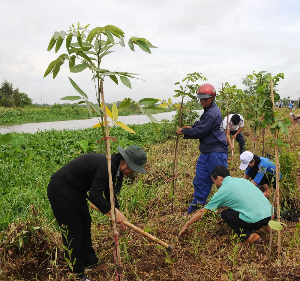 Kiểm soát môi trường chặt chẽ ảnh 1