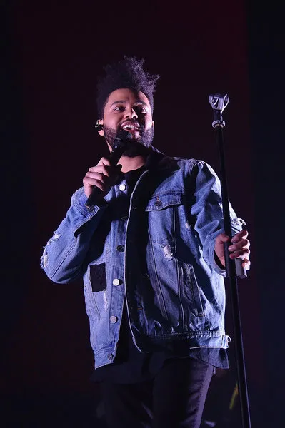 Lễ trao giải Grammy 2018: Bruno Mars thắng lớn ảnh 13