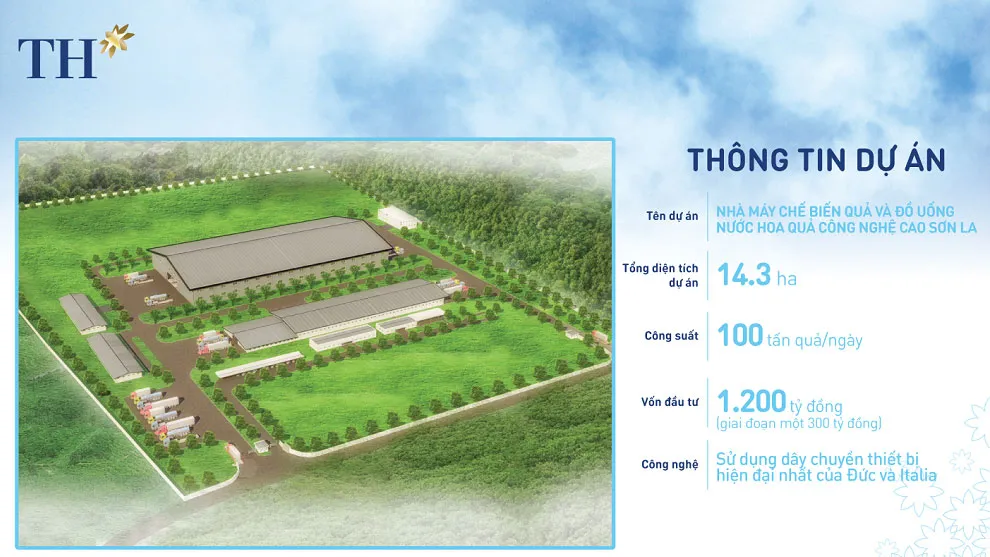 Có gì đặc biệt ở nhà máy đầu tiên của Việt Nam ép cam, nhãn? ảnh 2