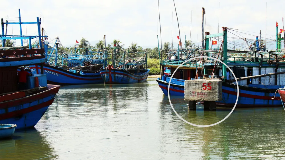 Thủ phạm gây tai nạn ở cảng cá Tam Quan ảnh 1