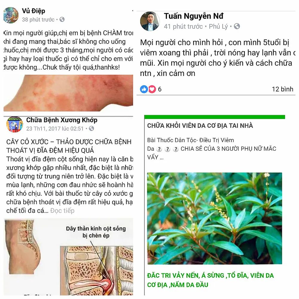 Hiểm họa lang băm ảnh 1