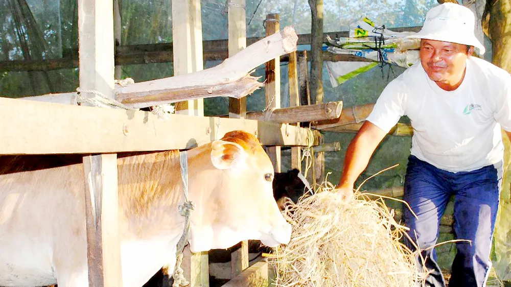 Hỗ trợ bà con Khmer ở Sóc Trăng thoát nghèo ảnh 1