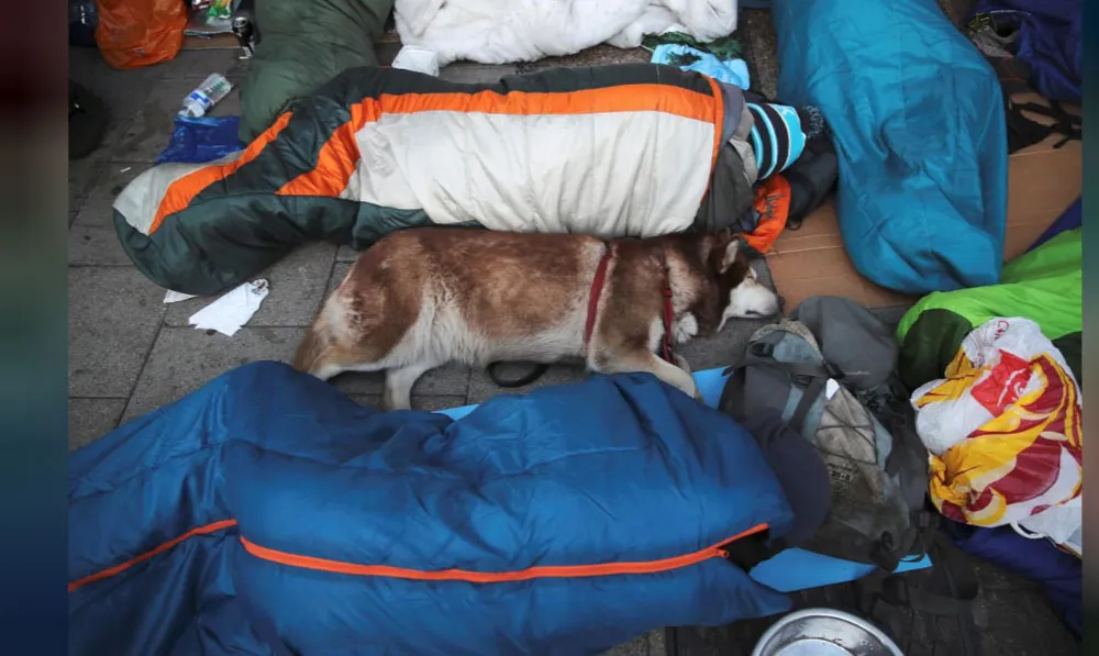 Hoàng tử Harry và Meghan Markle chính thức là vợ chồng ảnh 90