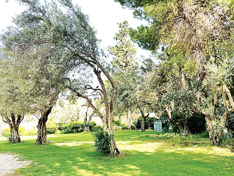 Jerusalem yên bình ảnh 4