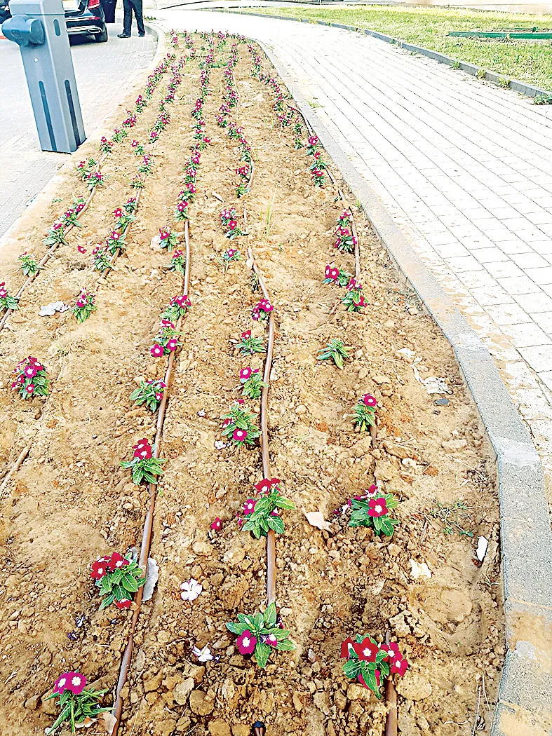 Jerusalem yên bình ảnh 8