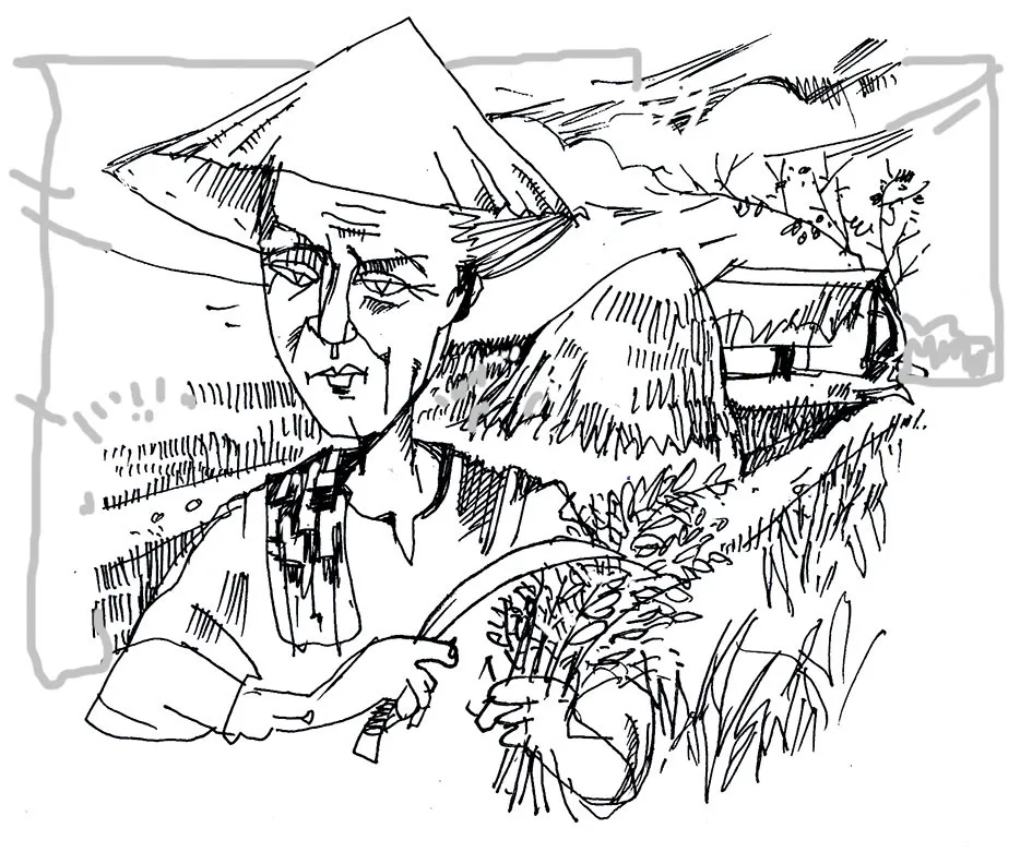 Tuổi cha tôi như cây lúa chín vàng ảnh 1