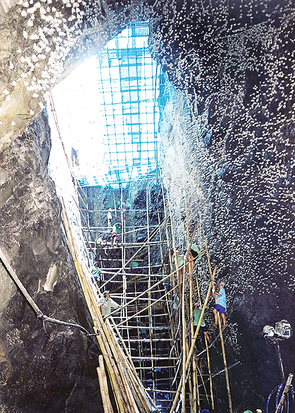 Một ngày trên đảo yến ảnh 1