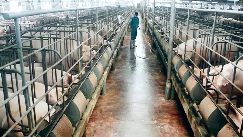 Việt Nam đủ sức chống chọi với “chiến tranh thương mại” ảnh 1