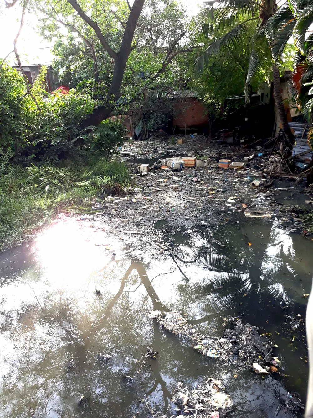 Chú trọng xây dựng ý thức giữ vệ sinh môi trường ảnh 1