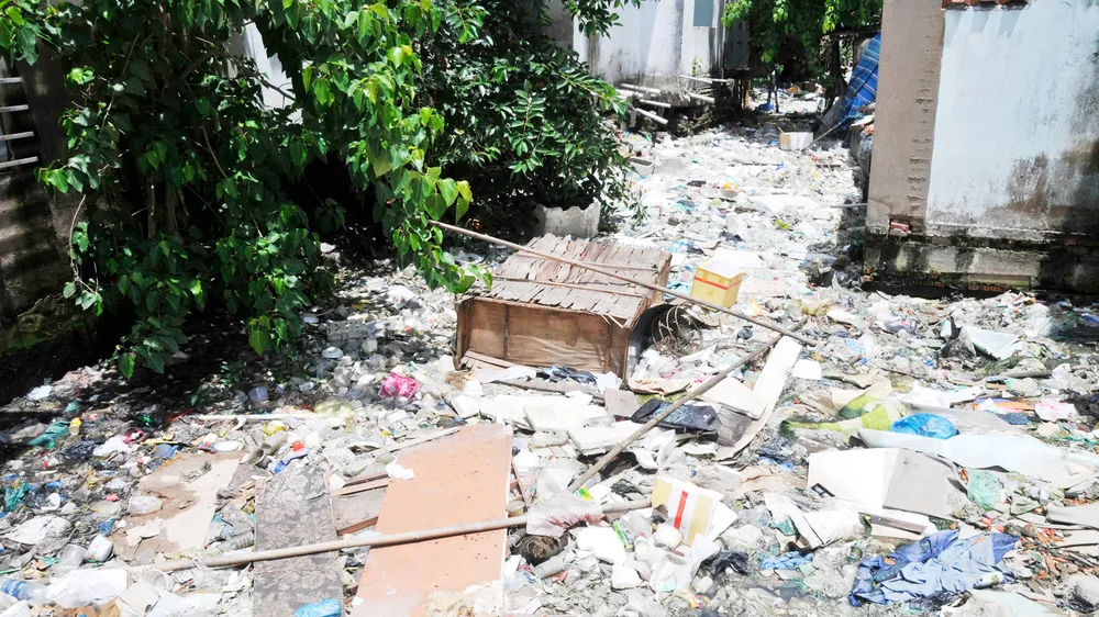 Tăng xử phạt, giảm xả rác nơi công cộng  ảnh 1