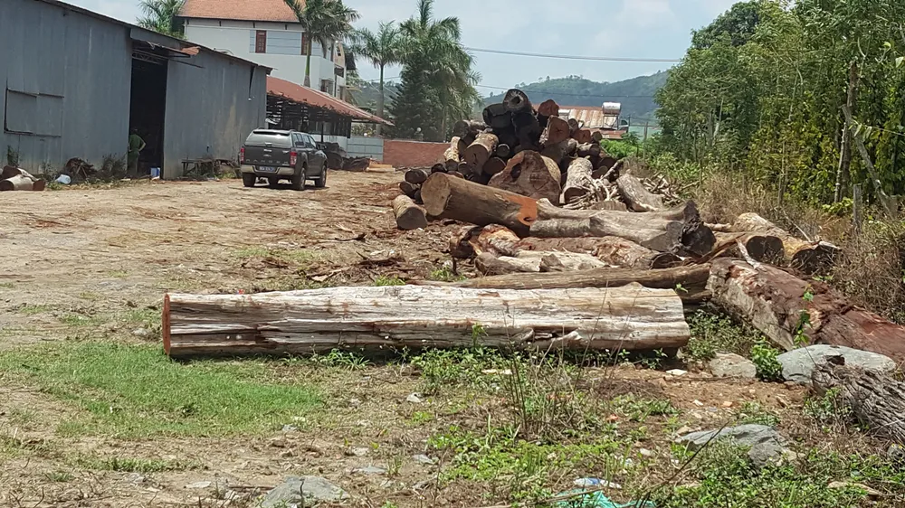 Vụ bắt giữ trùm gỗ lậu Phượng “râu”: Kiểm điểm nhiều cán bộ kiểm lâm ảnh 1