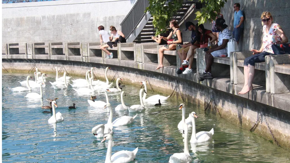 Thụy Sĩ: Một ngày có 25 giờ ảnh 2